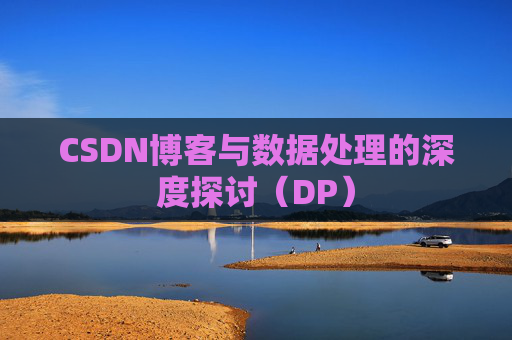 CSDN博客与数据处理的深度探讨（DP）